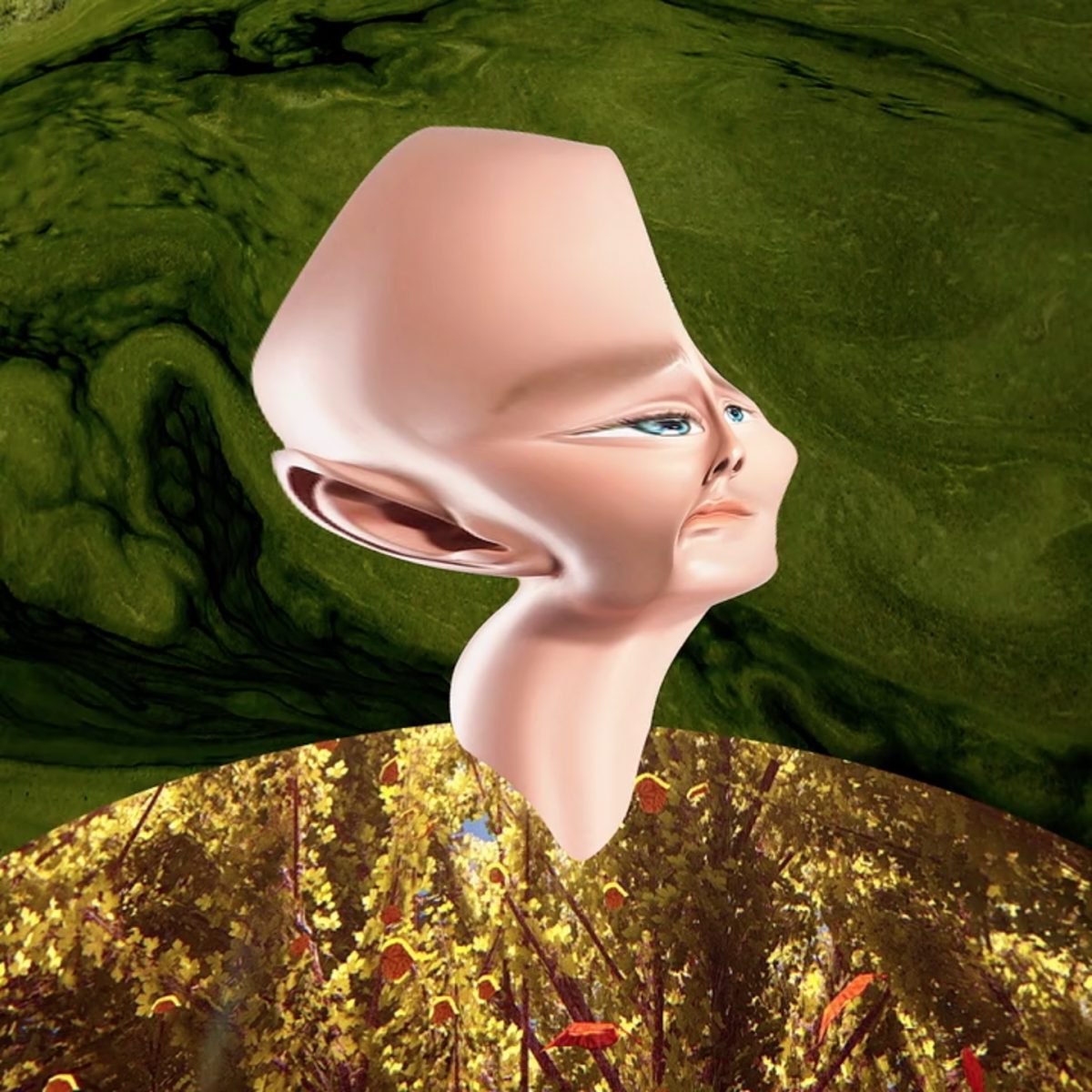 Les nocturnes du MAC