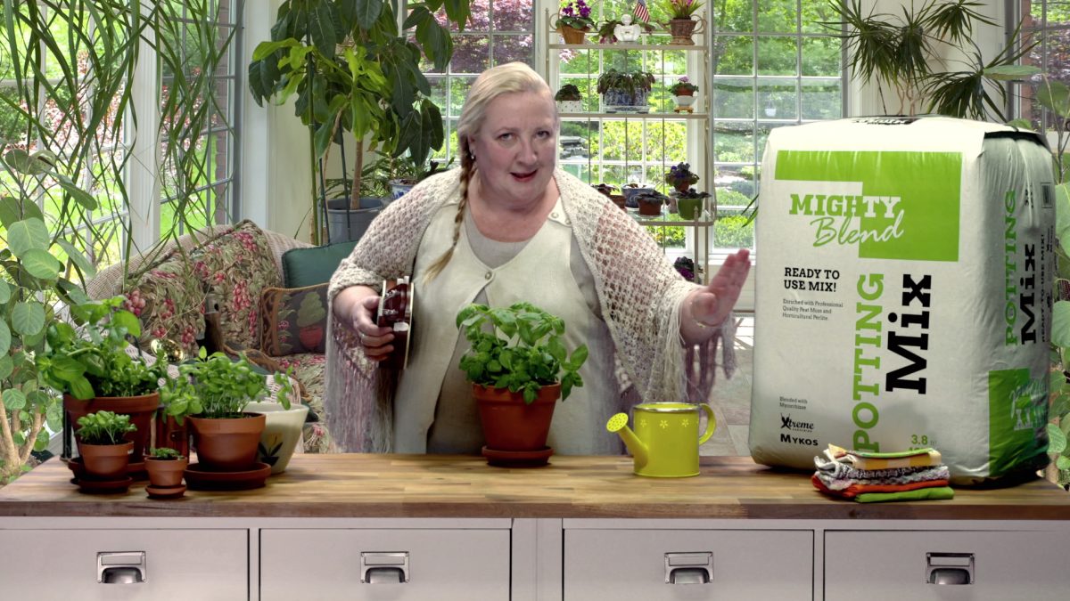 The finest herbs with Aunt Mary